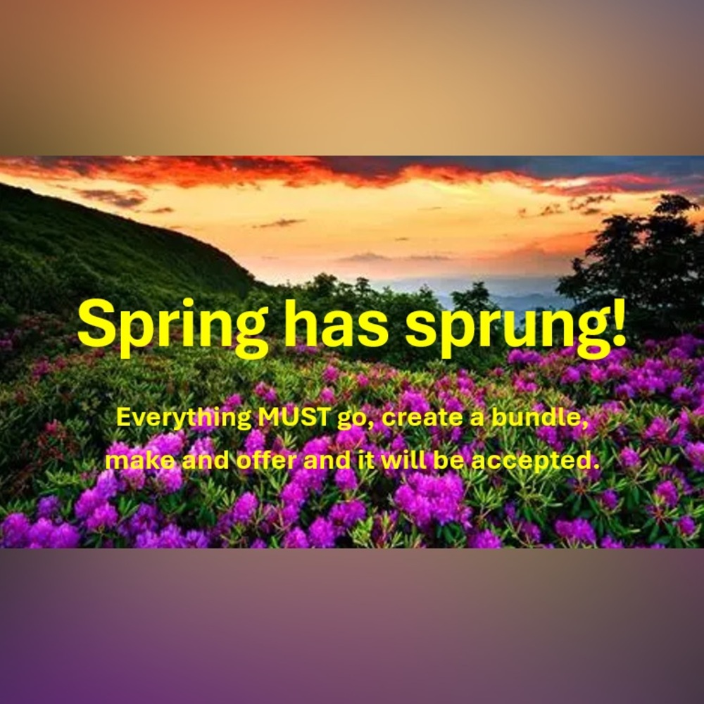 🌼🌺 Spring Has Sprung, Closet Cleanout Time! 🌺🌼